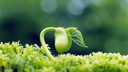 励志积极向上的歌曲 小学生演讲稿《我心中的中国梦》 – 周易天地