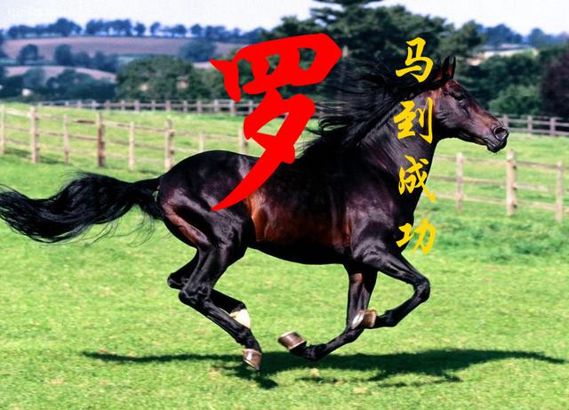 [苹果风车车共享位置]，姓氏朱的微信名字