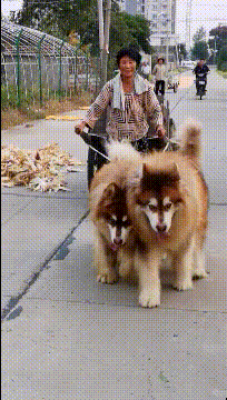 搞笑的GIF趣图：隔壁小孩馋哭了！