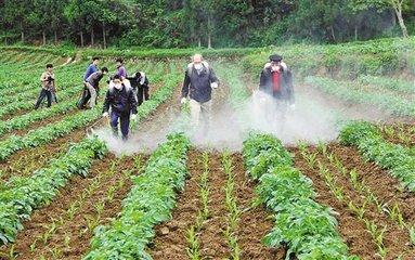 甲霜灵可以用来防治哪些蔬菜常见病害？