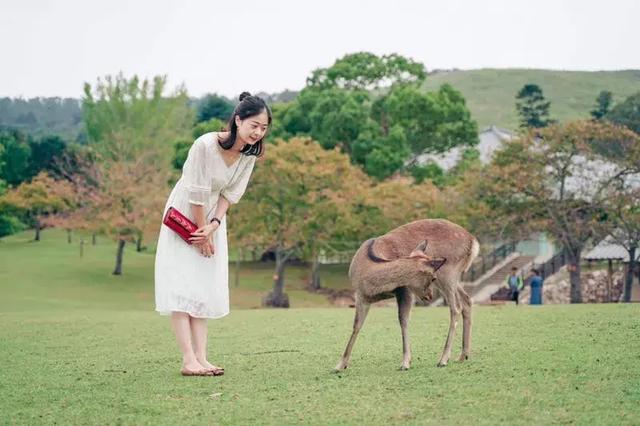 日本松山油脂身体乳日期解读
