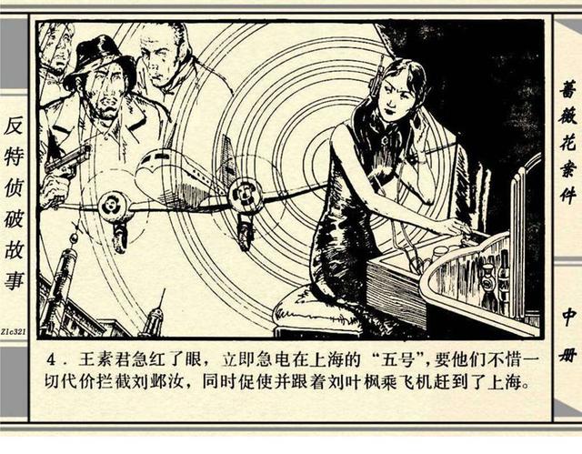蔷薇花案件