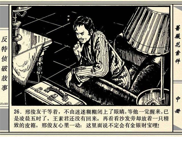 蔷薇花案件