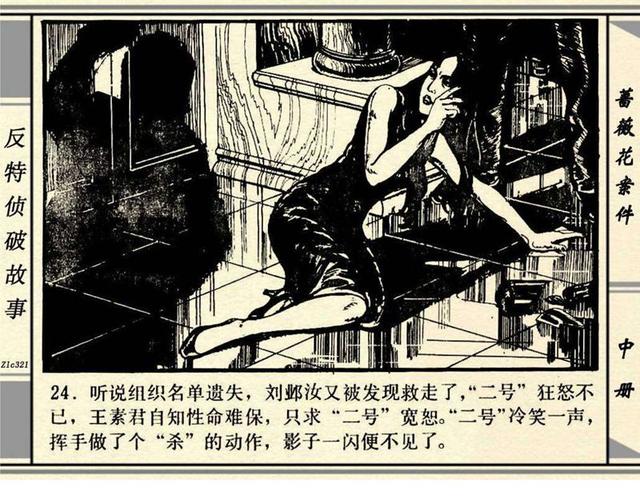 蔷薇花案件