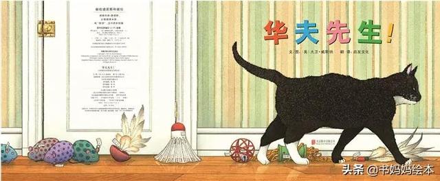 猫咪主题绘本推荐｜和孩子一同打开喵星人的世界