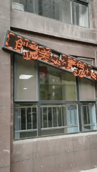 爆笑动图:倒挂树枝上拍婚纱照!现在的摄影师真的是太不容易了!