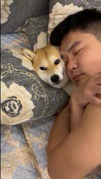 搞笑的GIF趣图：有钱人家，上厕所都这样光明真大吗？