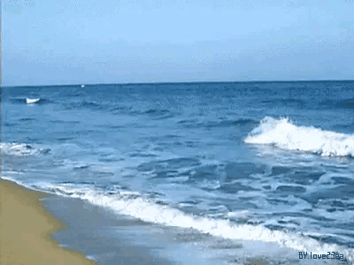 梧州熟浆过滤机厂家的简单介绍