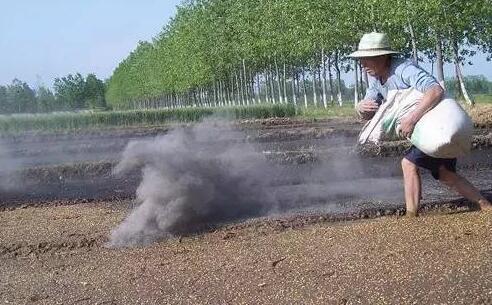 草木灰是什么