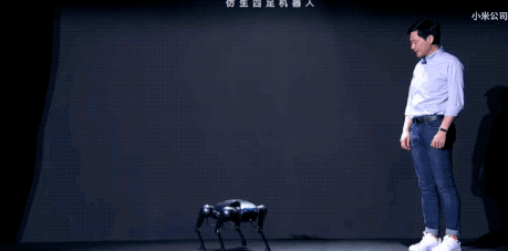 剛剛，小米發佈瞭一隻狗！售價高達9999元，比我傢的狗還聰明