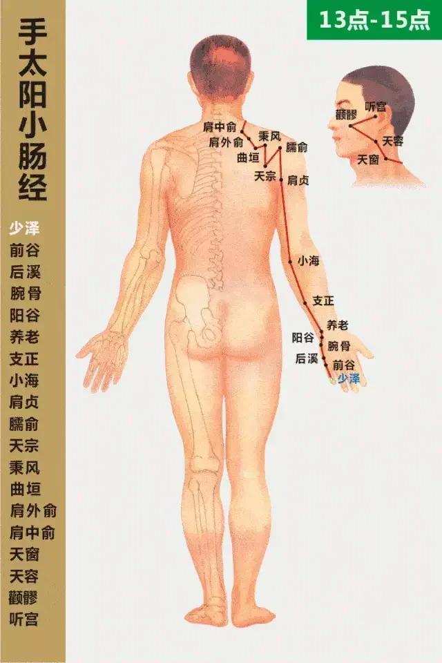 中医专家奉献人体24小时使用手册，教您按“时”养生！值得收藏