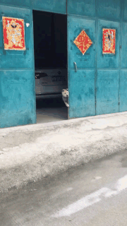 搞笑的有趣GIF：听说你们对这样的男生根本没抵抗力