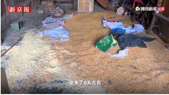 云南挖斗洗砂机现货