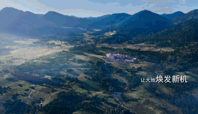 山东18年度工程机械展