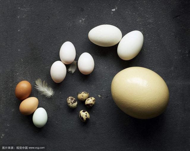 鹌鹑蛋怎么读，中草药鹌鹑蛋松的研制？