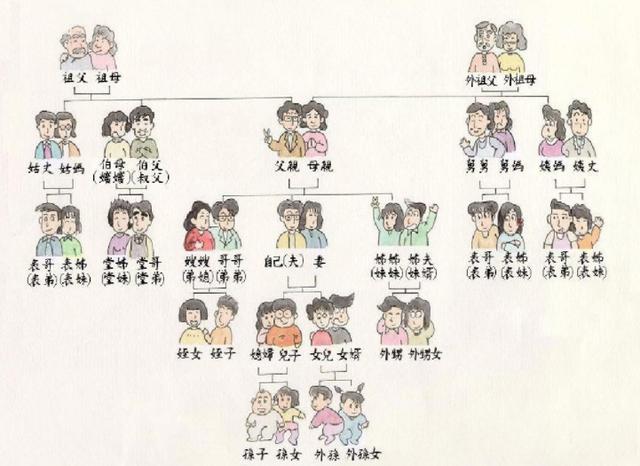 法,根据亲属关系产生的原因,将亲属分为配偶血亲和姻亲三种一配偶配偶