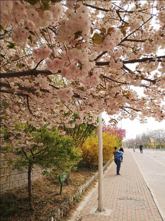 济南大学西校区 济南大学西校区（济南大学西校区邮编） 生活