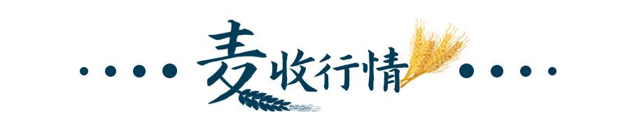 阜阳轮式洗砂机排行