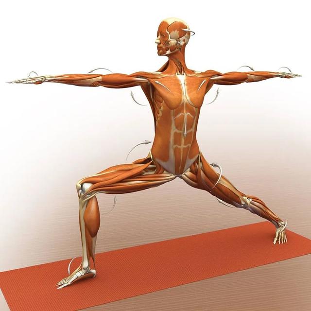 半月式8,加强侧伸展9,战士1式10,战士3式11,战士3式 扭转12,高弓步