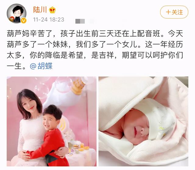 央视主持人蝴蝶图片临产前_央视主持人胡蝶个人简历