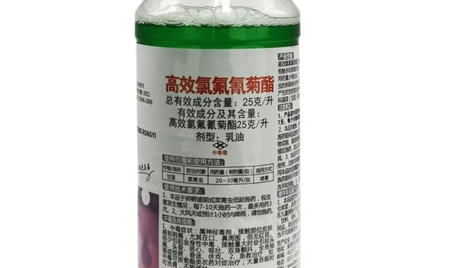 高效氯氰菊酯到底能治什么虫？如何使用高效氯氰菊酯效果更好？