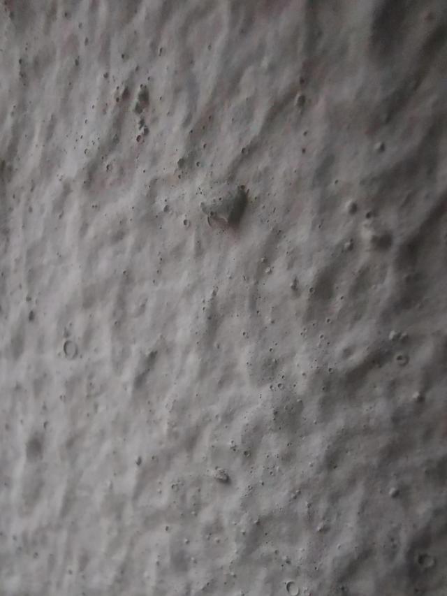 请大神看下这是我摄像头坏了，还是摄像头的玻璃盖坏掉了华为M20P
