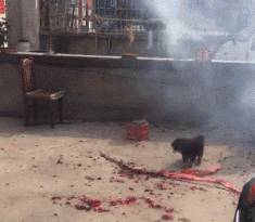 爆笑的动图GIF：你的男朋友正在痴痴地看着你
