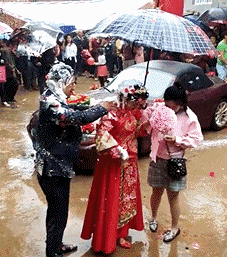 搞笑雷人的动态图片：我就是专治各种不服的