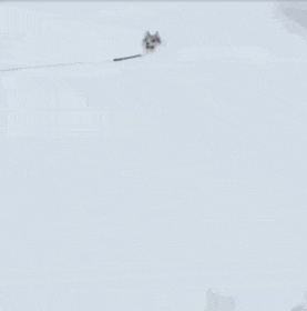 搞笑的动图GIF：这个手相不怎么好，定有牢狱之灾！