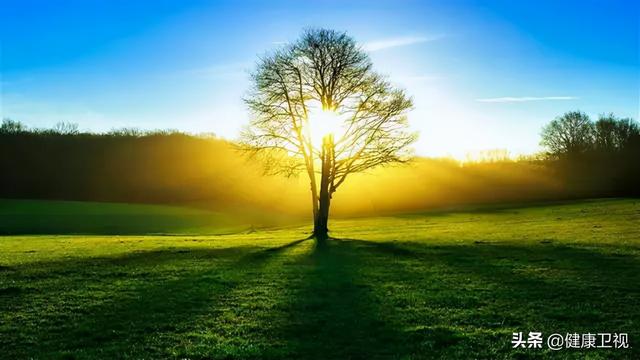 中外一千多位百岁寿星长寿真相大调查！他们都有一个共性竟然是：乐观