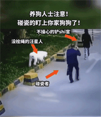 爆笑动态图GIF图：要不要跟我做朋友