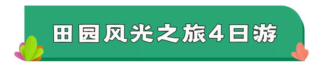 东川区双螺旋洗砂机