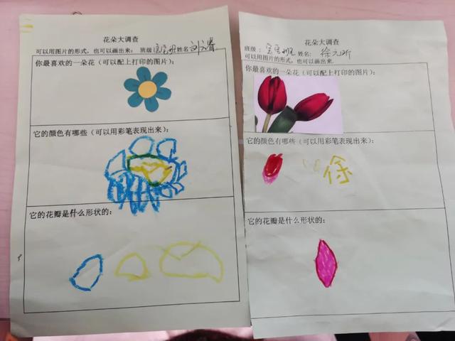 寻花之旅——友联幼儿园小班幼儿《花儿朵朵开》班本课题