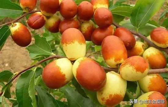 西华县展辉园扩建工程