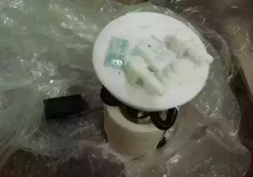 发动机舱进猫怎么办(猫进发动机舱有损害吗)