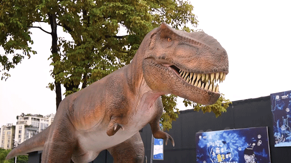 深圳机械展可以带小孩