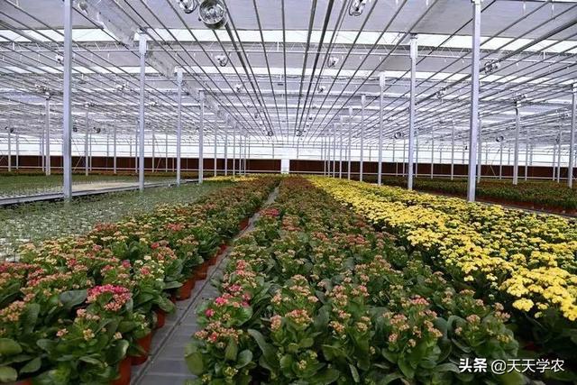 第26届杨凌农高会农业机械展