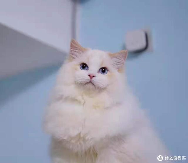 如何戒网瘾最好的方法(怎样戒网瘾)(图46)