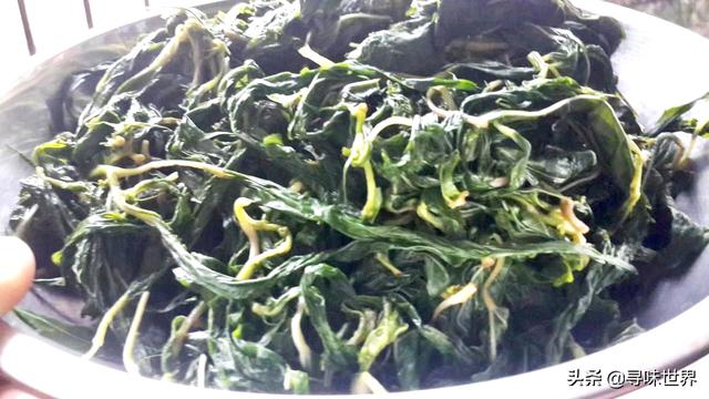 盘点最奇特的11种野菜 你认识几种 最后一种像蛇一样 今日热点