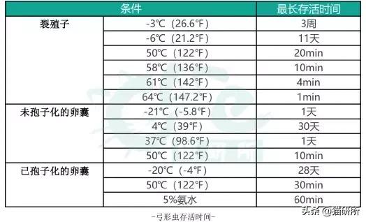 弓形虫病的症状