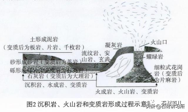 锤式树皮破碎机