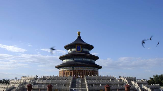 没有脚的鸟叫什么名字（无脚鸟可连续9天飞行）