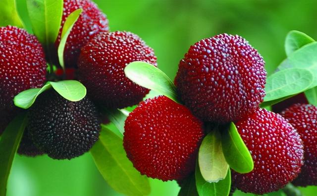 盘点：甜而不胖的水果，值得收藏一下