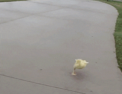 不一般搞笑的GIF：妹子这屁的威力有点大