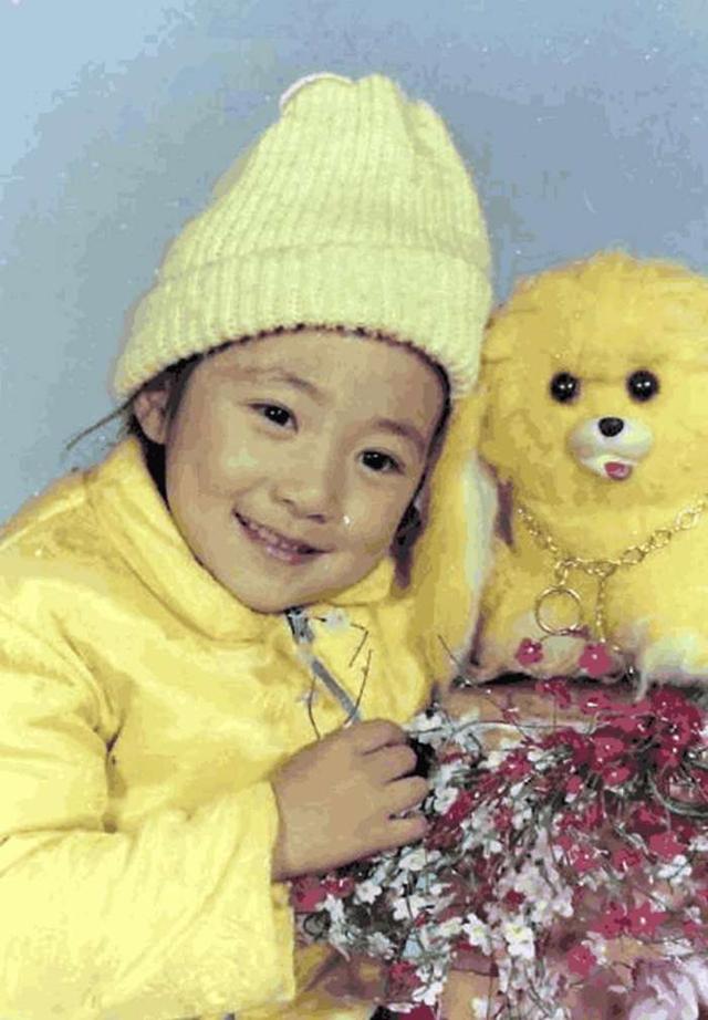 韩雪资料