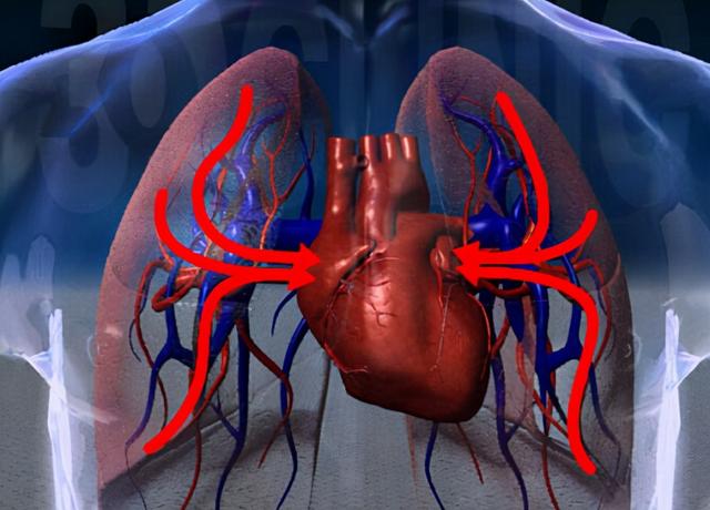 心血管疾病的自我预防和改善