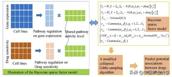 徐州工程机械展郝纯纯