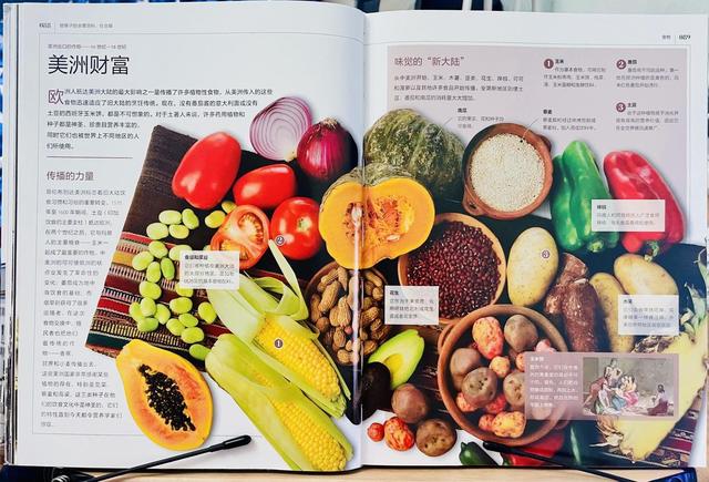 令人目眩神迷的“全景百科”，带孩子穿越时光，领略历史的变迁