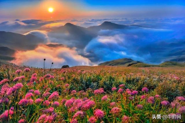 坐擁山川和花海 一處隱藏在貴州的浪漫仙境 初秋花開正艷 Kks資訊網