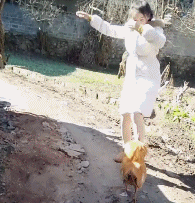 爆笑的GIF动图：女士们先生们，请你跟我一起来